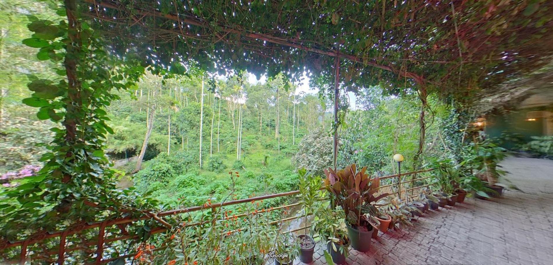 Bed and Breakfast Wayanad Royal Stream Kalpetta Exterior foto