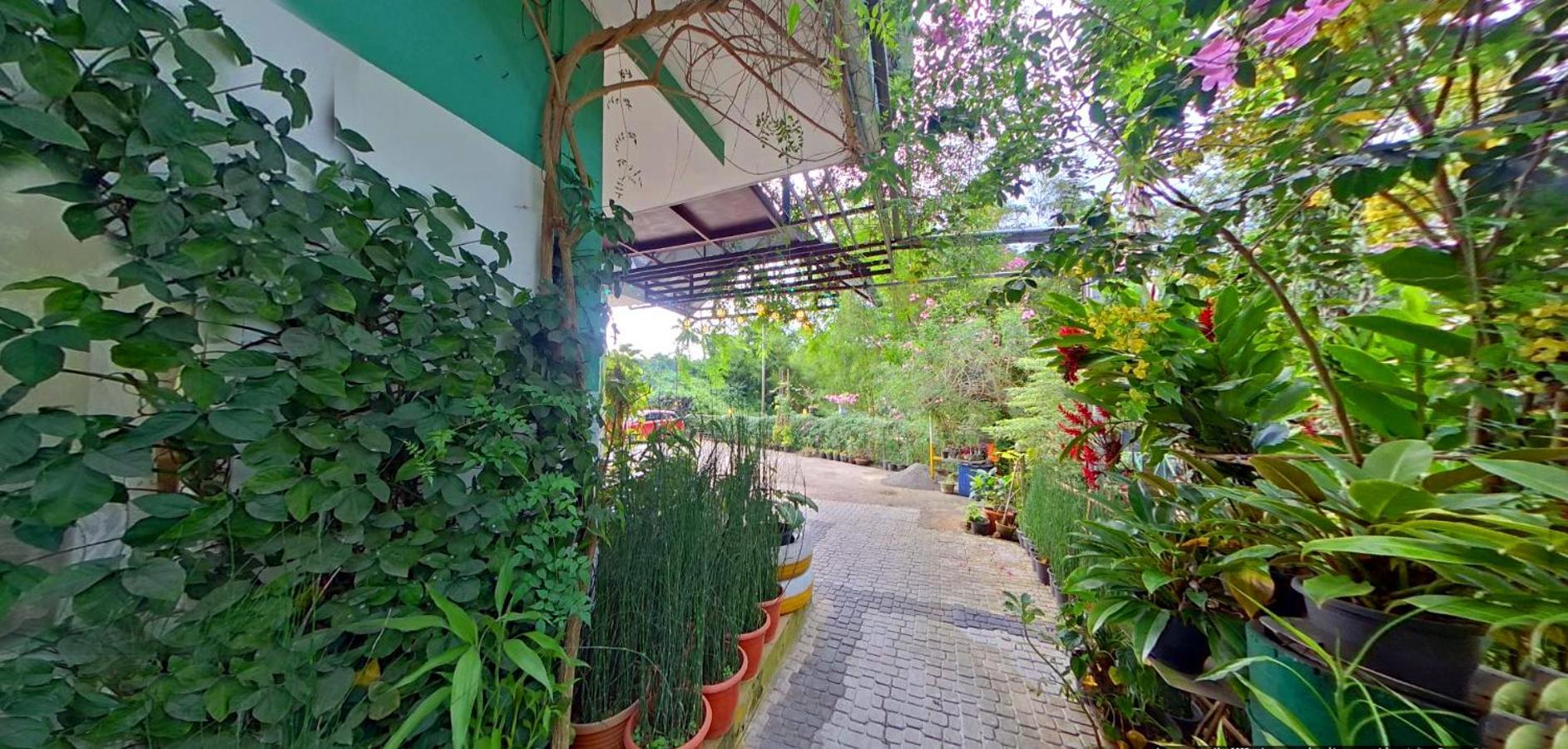 Bed and Breakfast Wayanad Royal Stream Kalpetta Exterior foto