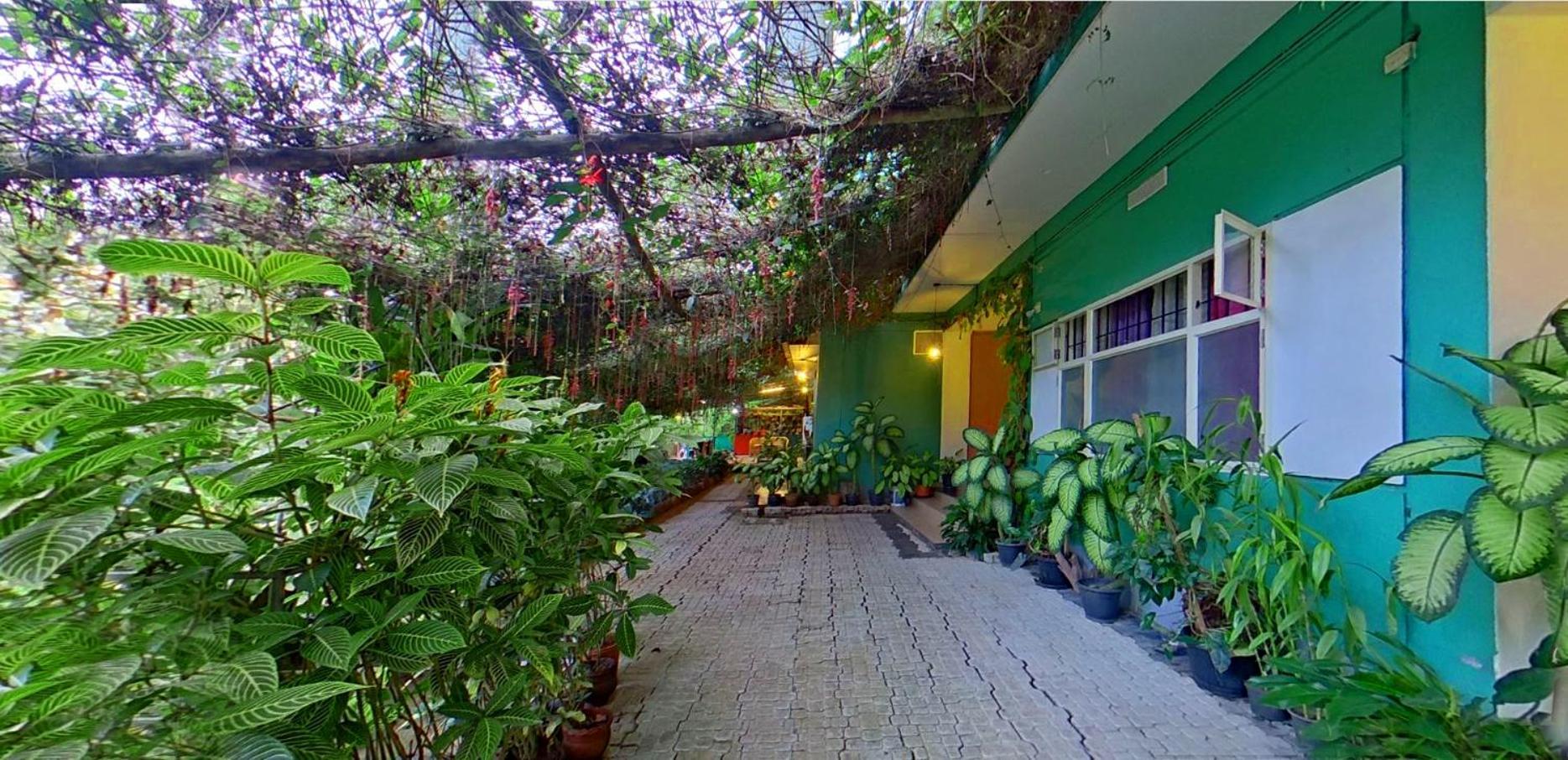 Bed and Breakfast Wayanad Royal Stream Kalpetta Exterior foto